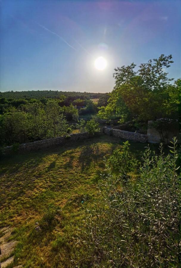 Villa Dvori Dida Mile Sveti Petar  Buitenkant foto